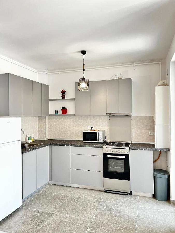 Apartment Mara 2 Timişoara Exterior foto